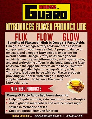 Flix 9 lb, 100% Flaxseed Healthy Treats for Horses, High in Omega-3-PurrikoPets