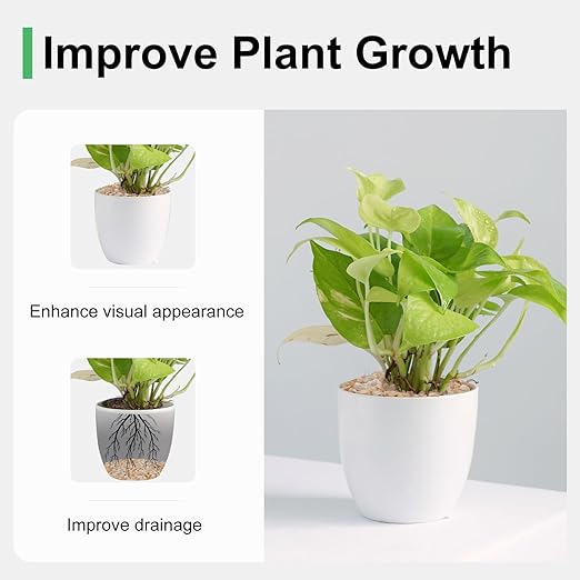 2.5 lbs Coarse Silica Sand for Indoor Plants, 1/5 Inch Natural Decorative Gravel for Vases, Aquariums, Terrarium, Fish Tank, Drainage Rocks for Potted Plants, Bamboo, Succulent, Crafts, Cactus-PurrikoPets