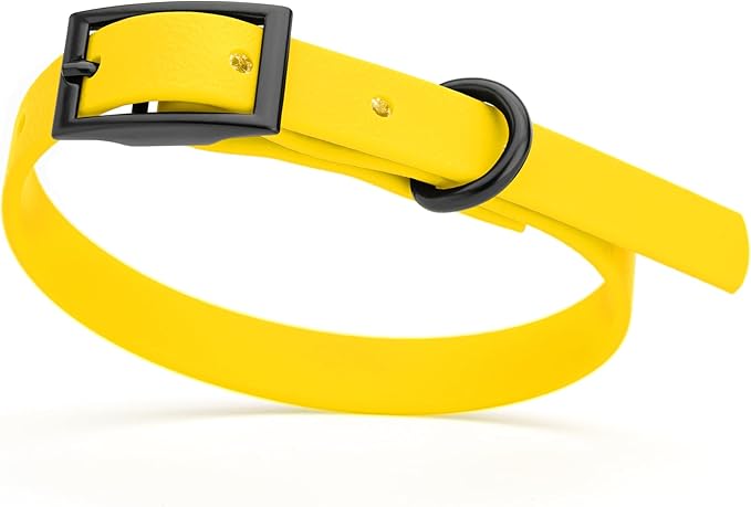 Dogline Biothane Waterproof Dog Collar Strong Coated Nylon Webbing with Black Hardware Odor- Proof for Easy Care Easy to Clean High Performance Fits Small Medium or Large Dogs, Lemon Yellow-PurrikoPets