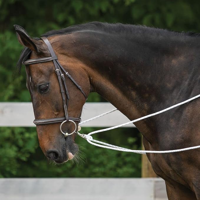 Advanced European Training System | Advanced Training Tool | Enhances Horse Carriage and Headset | Encourages Forward Movement | Strengthens Key Muscles | Not for Beginners-PurrikoPets