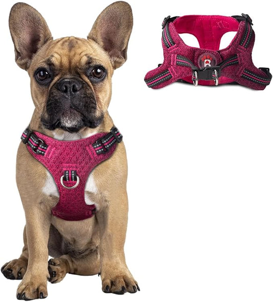 Dog Harness Step in Dog Vest Harness, Reflective Adjustable Puppy No Pull Harness Breathable Soft for Small and Medium Dogs Cats, Pink/Black, S-PurrikoPets