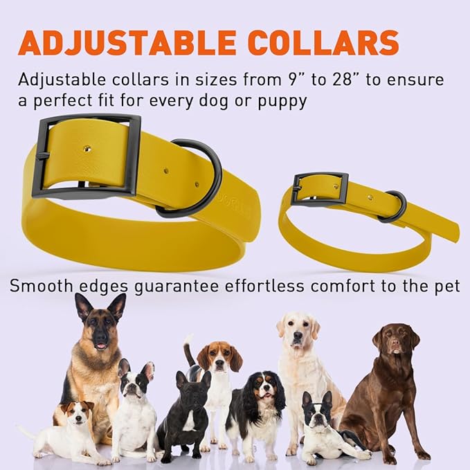 Dogline Biothane Waterproof Dog Collar Strong Coated Nylon Webbing with Black Hardware Odor- Proof for Easy Care Easy to Clean High Performance Fits Small Medium or Large Dogs, Treasure Gold-PurrikoPets