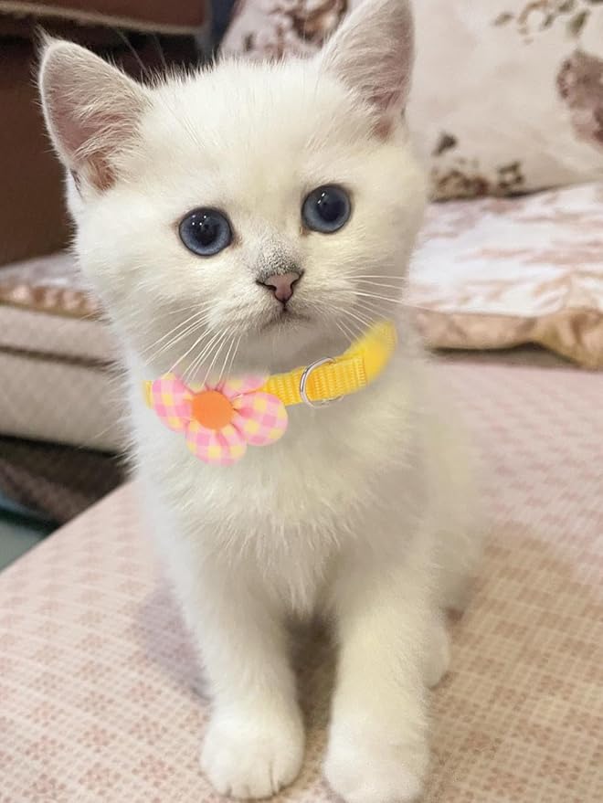 16 PCS Cute Cat Collars Breakaway with Bell for Boy Cats and Girl Cats Gifts (#5-Multicolor Plaid)-PurrikoPets