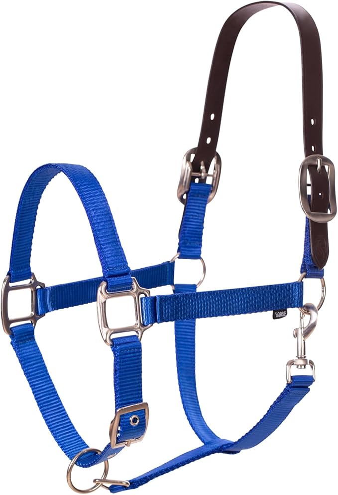 Equinavia Loki Adjustable Breakaway Horse Halter - Royal Blue - Horse-PurrikoPets