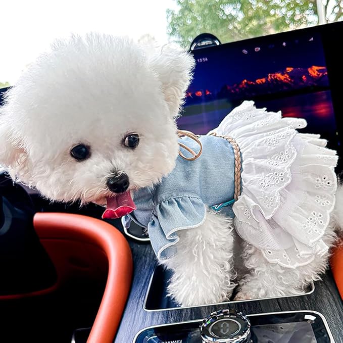 Girl Dog Denim Dress with Flared Sleeves Dog Jeans Jacket Blue White Puppy Clothes for Small Dogs Cat Apparel Cake Skirt Pet Outfit (Blue, Small)-PurrikoPets