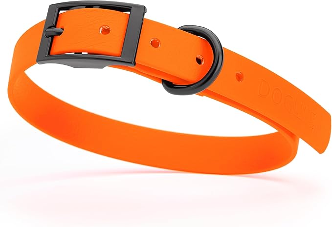 Dogline Biothane Waterproof Dog Collar Strong Coated Nylon Webbing with Black Hardware Odor- Proof for Easy Care Easy to Clean High Performance Fits Small Medium or Large Dogs, Hunter Orange-PurrikoPets