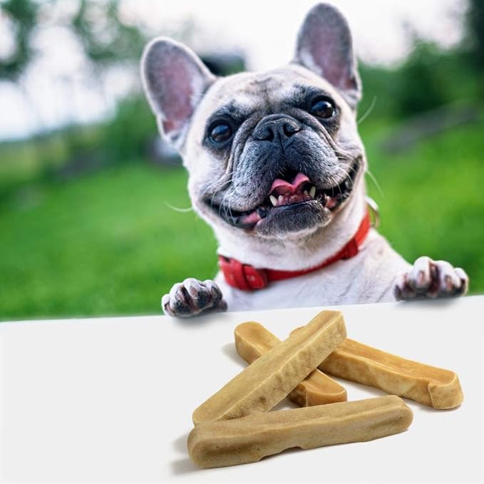 EcoKind Premium Gold Yak Cheese Himalayan Dog Chews, Dog Treats Large Breed, All Natural, High Protein, for Aggressive Chewers, Large - 3 Chews-PurrikoPets