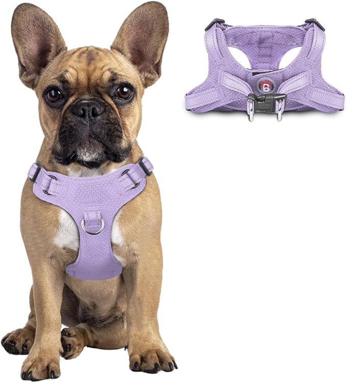 Dog Harness Step in Dog Vest Harness, Reflective Adjustable Puppy No Pull Harness Breathable Soft for Small and Medium Dogs Cats, Violet Purple, S-PurrikoPets