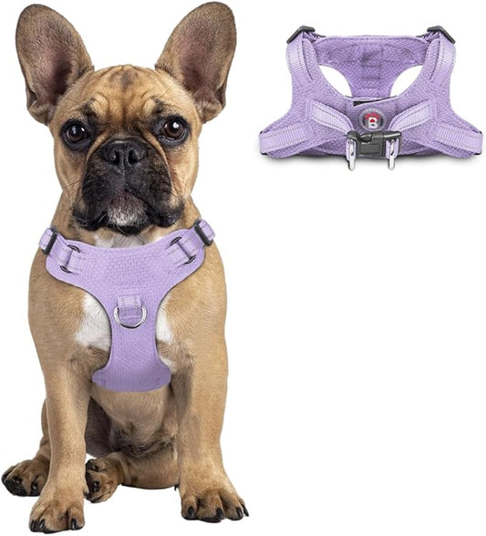 Dog Harness Step in Dog Vest Harness, Reflective Adjustable Puppy No Pull Harness Breathable Soft for Small and Medium Dogs Cats, Violet Purple, S-PurrikoPets