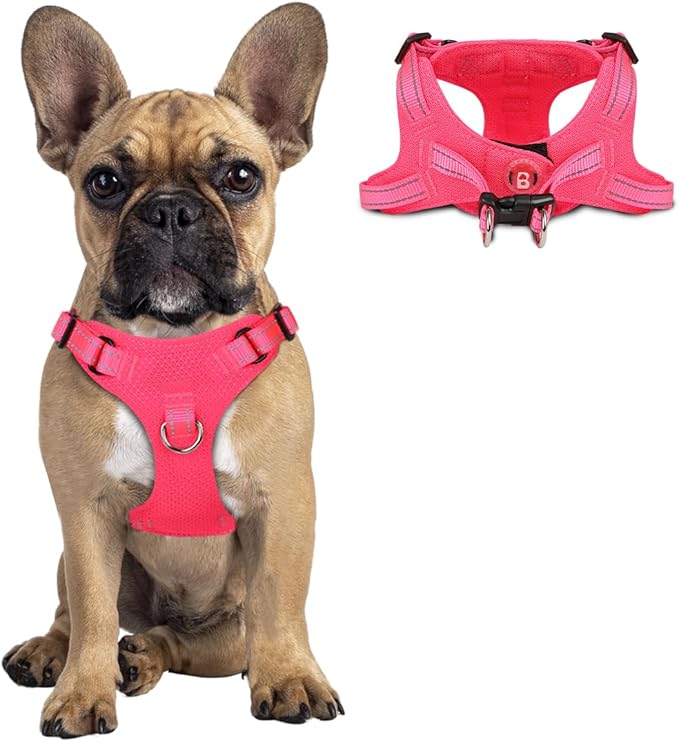 Dog Harness Step in Dog Vest Harness, Reflective Adjustable Puppy No Pull Harness Breathable Soft for Small and Medium Dogs Cats, Pink, S-PurrikoPets