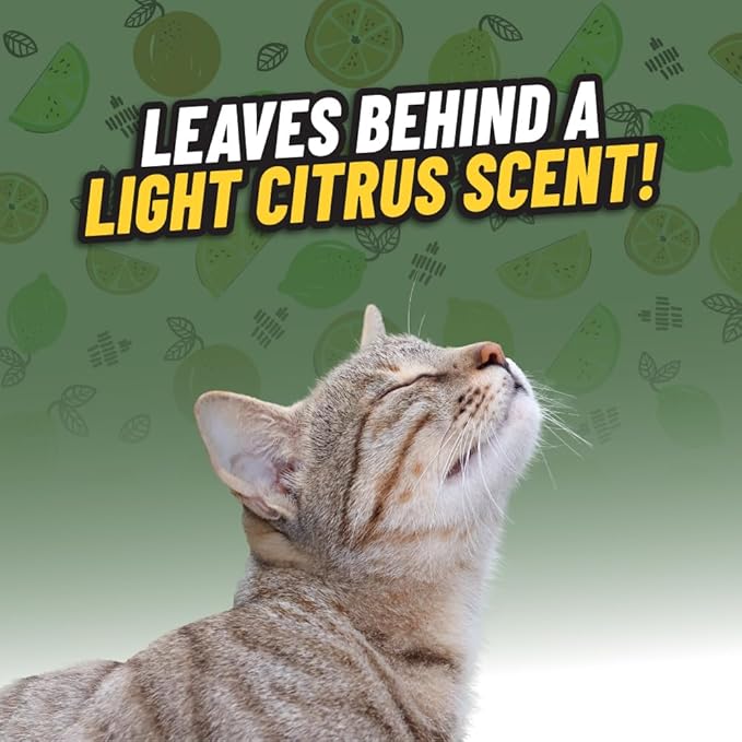 Ghosted Pet Odor Eliminator, Refresh Your Home, Car, Office, & More, from Chemical Guys (32 Fl Oz) - Fresh Citrus Scent - PCS10232-PurrikoPets