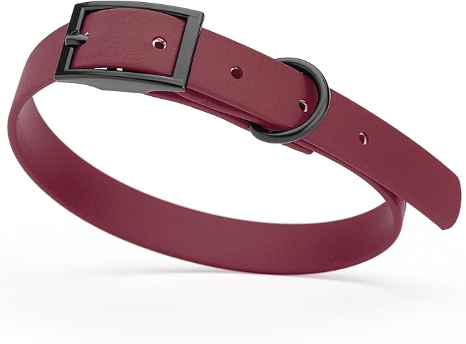 Dogline Biothane Waterproof Dog Collar Strong Coated Nylon Webbing with Black Hardware Odor- Proof for Easy Care Easy to Clean High Performance Fits Small Medium or Large Dogs, Merlot Burgundy-PurrikoPets