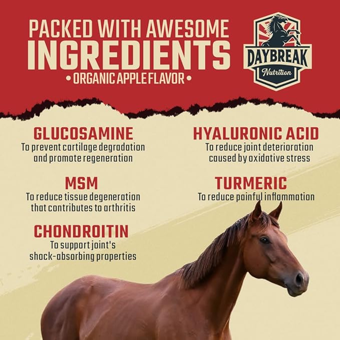 8 in 1 Maximum Strength Equine Joint Supplement - Joint Supplement for Horses - Glucosamine, MSM, Chondroitin, Turmeric, Hyaluronic Acid, Manganese, & Boswelia - 964g (30 Servings)-PurrikoPets