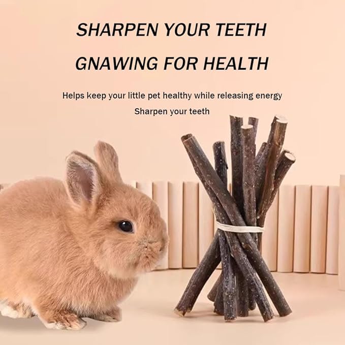 400g 5 Guinea Pig Toys Apple Sticks, Tissimo Grass Sticks, Sweet Bamboo, Papaya Stems, Carrot Sticks Pertain Chinchilla Squirrel Gerbil Hamster Squirrel Guinea Pigs-PurrikoPets