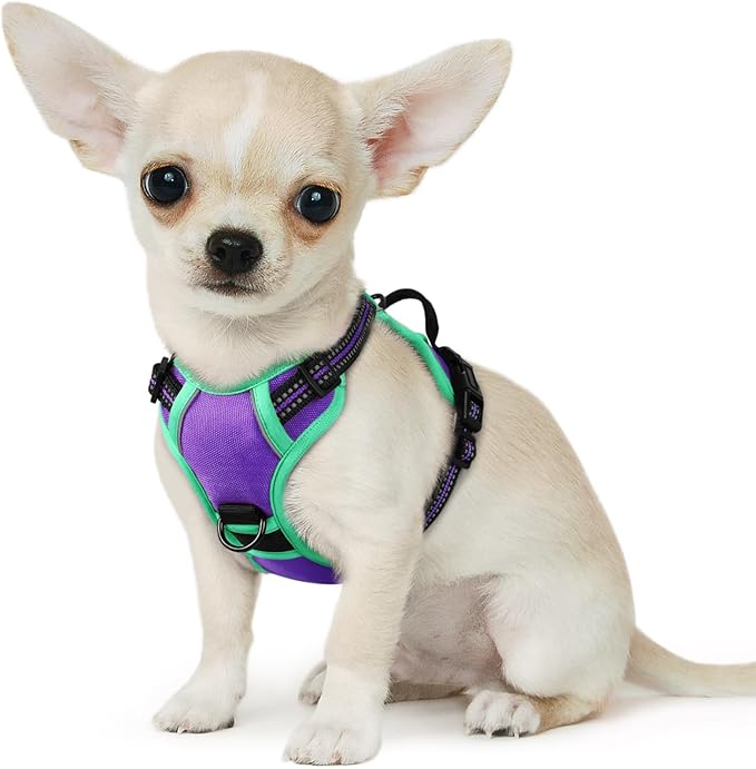 Eagloo Small Dog Harness No Pull, Service Vest with Reflective Strips and Control Handle, Adjustable and Comfortable for Walking, No Choke Pet Harness with 2 Metal Rings, Purple & Green, XS-PurrikoPets