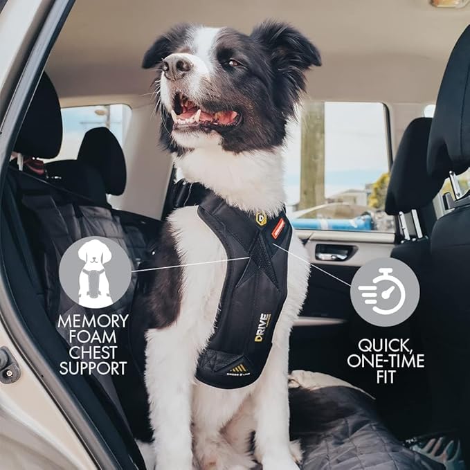 EzyDog Drive Dog Car Harness – Crash Tested and Certified (US-FMVSS 213) Dog Seat Belt Harness for Safe Travel, Adjustable with Padded Comfort (Small)-PurrikoPets
