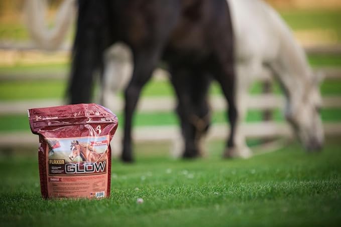 Glow 10 lb, Aids in Weight Gain and Improves Coat and Condition, Includes Omega-3’s-PurrikoPets