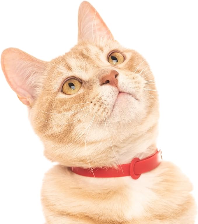5 Pack Breakaway Cat Collar - Soft, Comfortable, and Lightweight Safety Buckle Collar with ID Tag Ring for Outdoor Cats and Kittens by Nuvuq (6 ⅞" to 10 ¼", Red, Orange, Pink, Blue and Black)-PurrikoPets