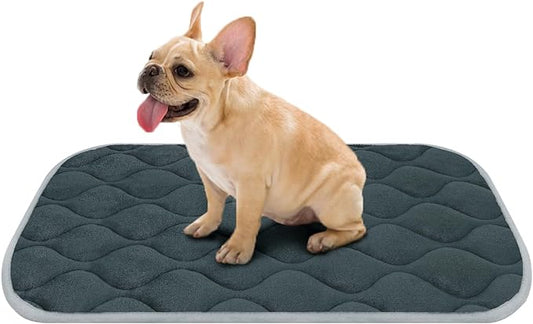 furrybaby Dog Bed Mat Flat Crate Mat with Anti-Slip Bottom Machine Washable Pet Kennel Pad for Dog Sleeping (M 30x19'', Grey Mat)-PurrikoPets