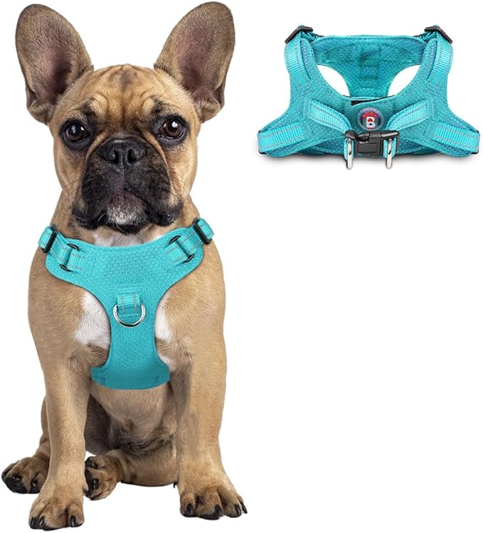 Dog Harness Step in Dog Vest Harness, Reflective Adjustable Puppy No Pull Harness Breathable Soft for Small and Medium Dogs Cats, Ocean Blue, S-PurrikoPets