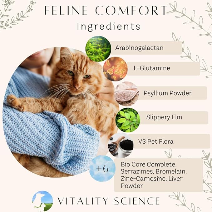 Feline Comfort for Cats | Maintains a Healthy Intestinal Tract and Proper Gut Flora | Restores Gastric Stability | for Vomiting and Diarrhea | 100% Additive Free (Beef, 98g)-PurrikoPets