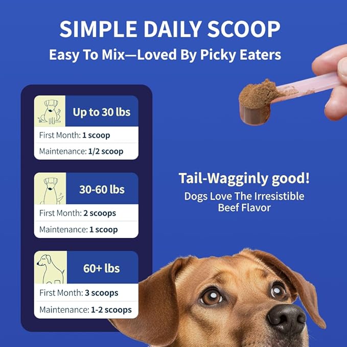 Dog Joint Supplement Powder with Glucosamine, Chondroitin & MSM – Hip & Joint Support for Mobility, Stiffness & Flexibility – Mushroom Blend with Lion’s Mane, Cordyceps & Reishi – Zoomy-PurrikoPets