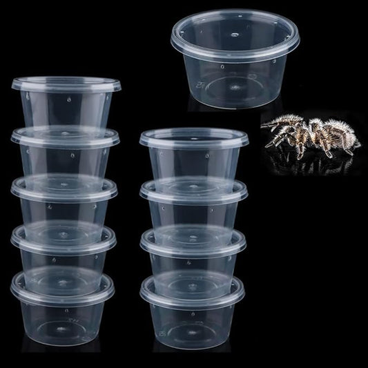 10 Pcs Spider Terrariums Breeding Box Small Round Hatching Container Acrylic Feeding Box for Spider Scorpion Centipede Insect-PurrikoPets