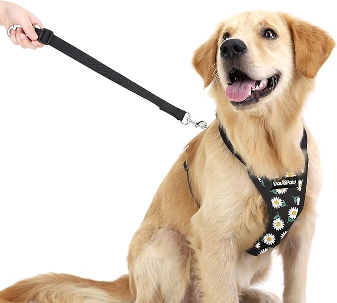 Dog Seat Belt, Safety Vest Dog Car Harness with Adjustable Buckle Dog Seat Belt for Vehicle Nylon Pet Safety Seat Belts Heavy Duty(L, Black Daisy)-PurrikoPets