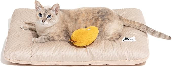 FUNNY FUZZY 2 in 1 Dog Bed Crate Pad Mat, Washable Reversible Pet Floor Mats,Fluffy Kennel Pad for Small Large Sized Dog,Indoor Cats,Sleeping Mattress, 23.6" × 17.9", Beige-PurrikoPets