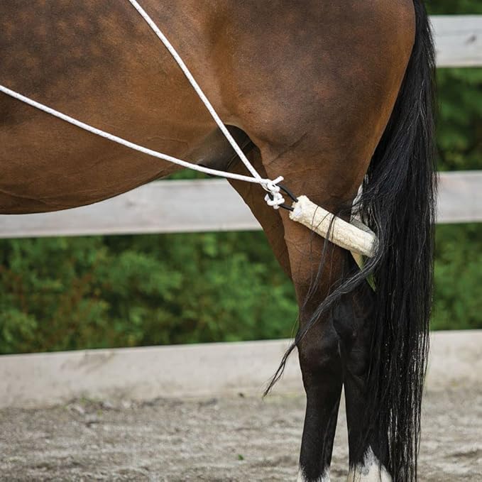Advanced European Training System | Advanced Training Tool | Enhances Horse Carriage and Headset | Encourages Forward Movement | Strengthens Key Muscles | Not for Beginners-PurrikoPets
