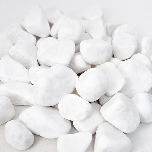 8LB 1"-2" White River Rocks for Plants, Polished Pebbles for Garden Landscaping, Planters, Aquariums, Vase Fillers – Indoor & Outdoor Decor-PurrikoPets