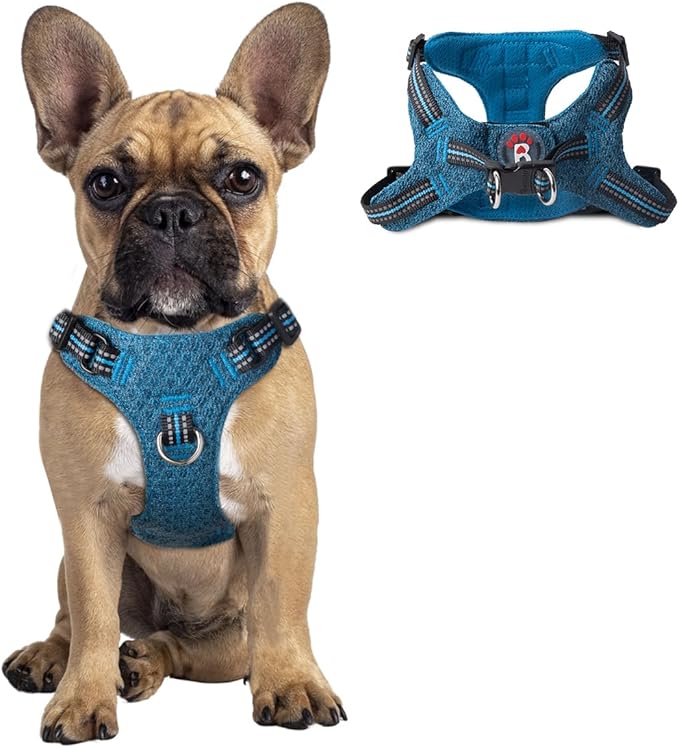 Dog Harness Step in Dog Vest Harness, Reflective Adjustable Puppy No Pull Harness Breathable Soft for Small and Medium Dogs Cats, Blue/Black, S-PurrikoPets