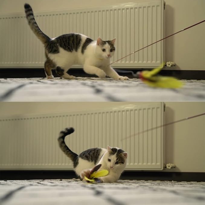 11PCS Cat Feather Toys Refills, 10PCS Feathers and 1PC String, Interactive Cat Wand Toy Replacement for Bored Indoor Adult Cats & Kittens-PurrikoPets