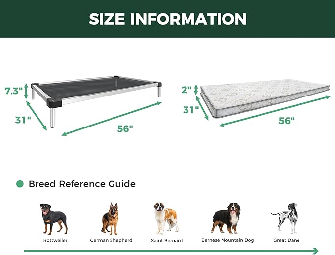 FXW TitanNest Chew-Proof Elevated Dog Bed, Raised Cot for Indoor/Outdoor/Camping Use, Durable & Waterproof Cooling Pet Bed with Exclusive Cover for Extra Large Dogs, 56.0" L x 31.0" W x 7.3" H, Black-PurrikoPets