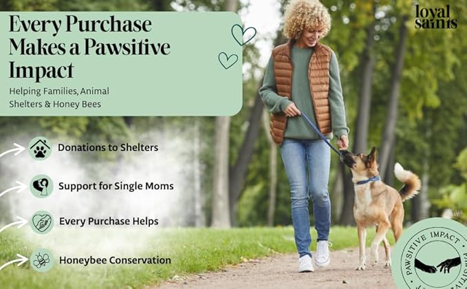 Freeze Dried Raw Dog Food - Premium Beef Flavor with High Protein and Grain Free Dog Food for Small or Large Breeds and Picky Eaters - Versatile as Meal Topper, Snack, and Treats, 14 Oz-PurrikoPets