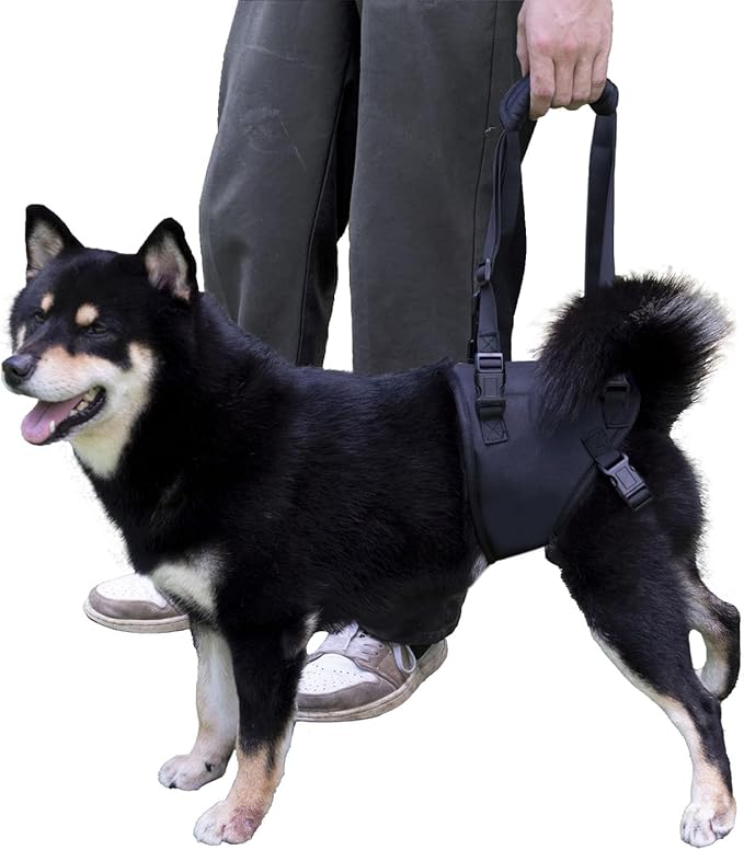 Dog Lift Harness for Dogs with Disabled Arthritis and Weak Back Legs, humanized Design with Comfortable Materials, Adjustable Back Legs and Straps, Suitable for Helping Dogs to Recover and Walk. (S)-PurrikoPets