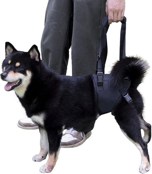 Dog Lift Harness for Dogs with Disabled Arthritis and Weak Back Legs, humanized Design with Comfortable Materials, Adjustable Back Legs and Straps, Suitable for Helping Dogs to Recover and Walk. (S)-PurrikoPets