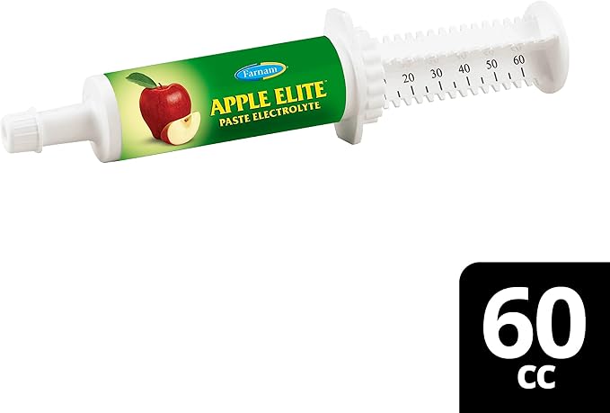 Farnam Apple Elite Electrolyte Paste Supplement for Horses, Replaces Vital Minerals, Encourages Hydration, No Added Sugar, 60 cc syringe-PurrikoPets