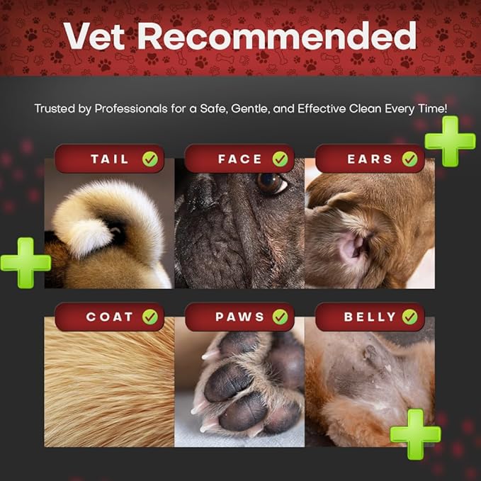 2% Chlorhexidine Wipes for Dogs 3X Larger | Yeast Infection Ringworm Fungus Hot Spot Itch Relief | Medicated Antibacterial Antifungal Extra Gentle Soothing Topical Wipes for Dog Cat | 50 Wipes-PurrikoPets