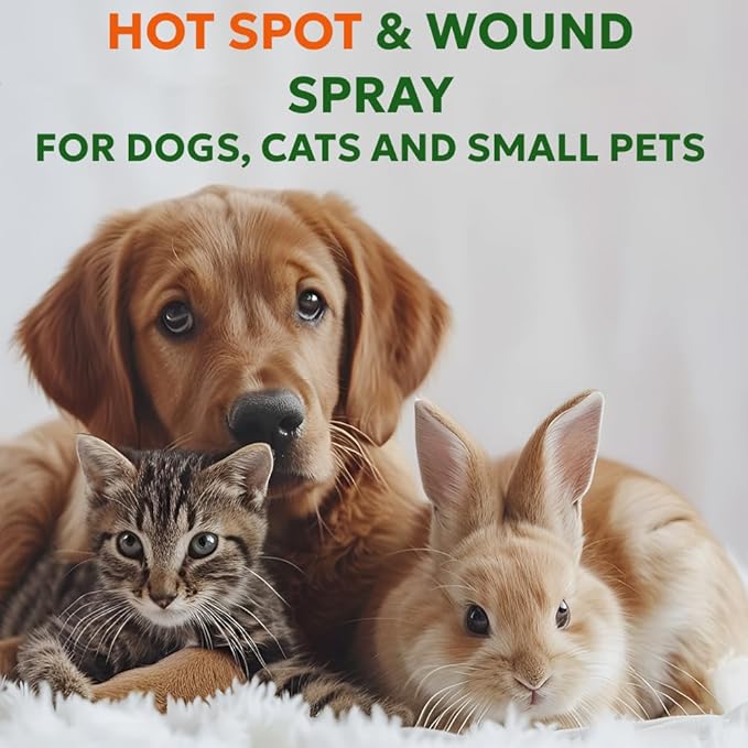 Forticept Hot Spot Spray for Dogs Cats & Horses, Itch Relief Wound Cleanser with Aloe Vera, 8 oz-PurrikoPets