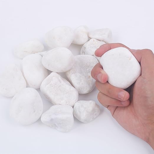 2LB 1"-2" White River Rocks for Plants, Polished Pebbles for Garden Landscaping, Planters, Aquariums, Vase Fillers – Indoor & Outdoor Decor-PurrikoPets
