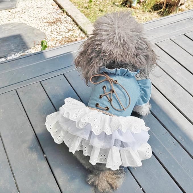 Girl Dog Denim Dress with Flared Sleeves Dog Jeans Jacket Blue White Puppy Clothes for Small Dogs Cat Apparel Cake Skirt Pet Outfit (Blue, Large)-PurrikoPets