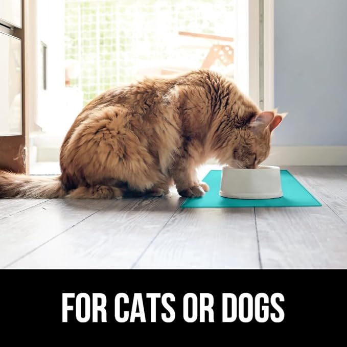 GORILLA GRIP 100% Waterproof Raised Edge BPA Free Silicone Pet Feeding Mat, Dog Cat Food Mats Contain Spills Protects Floors, Placemats for Cats and Dogs Water Bowl, Pets Accessories 16x10, Turquoise-PurrikoPets