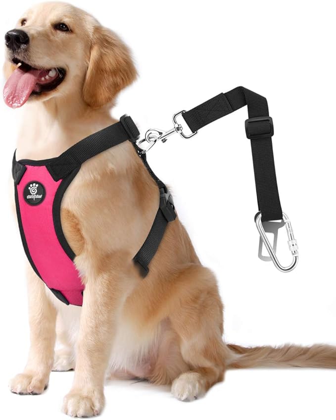 Dog Seat Belt, Safety Vest Dog Car Harness with Adjustable Buckle Dog Seat Belt for Vehicle Nylon Pet Safety Seat Belts Heavy Duty(XL, Magenta)-PurrikoPets