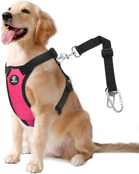 Dog Seat Belt, Safety Vest Dog Car Harness with Adjustable Buckle Dog Seat Belt for Vehicle Nylon Pet Safety Seat Belts Heavy Duty(XL, Magenta)-PurrikoPets