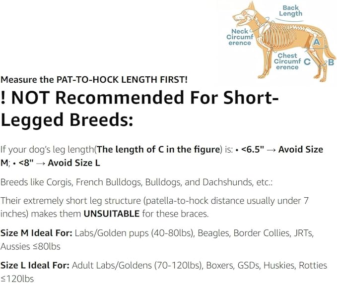Dog Knee Brace with Adjustable Support – ACL & CCL Tear Recovery, Post-Surgery Stabilization, Mobility Aid for Rear Legs – Includes Secure Chest Harness for Dogs(Both Legs,L)-PurrikoPets