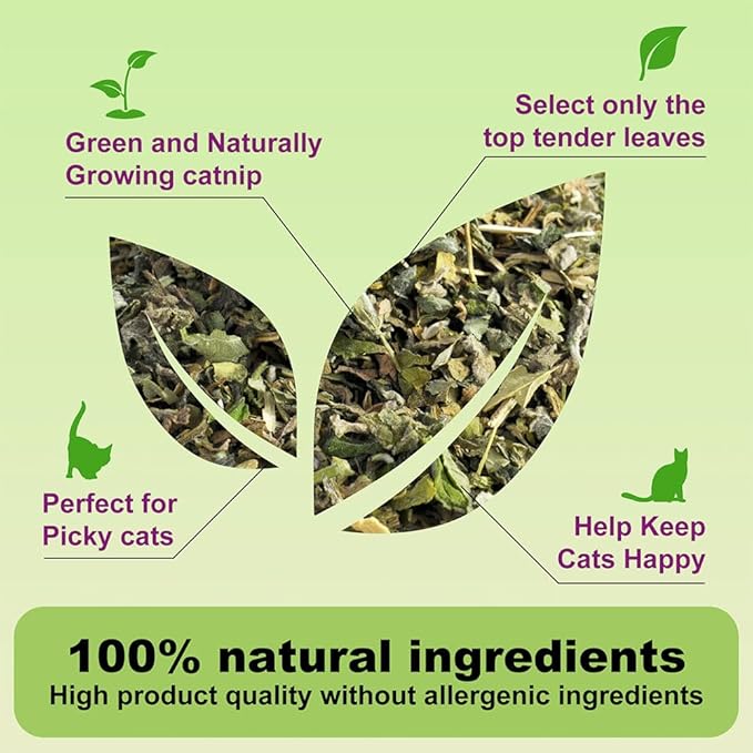 210ML Organic 100% Natural Catnip Cattle Grass Mint Taste Funny Cat Toy New Cat Toy Interactive Cat Toys Pet Supplies-PurrikoPets