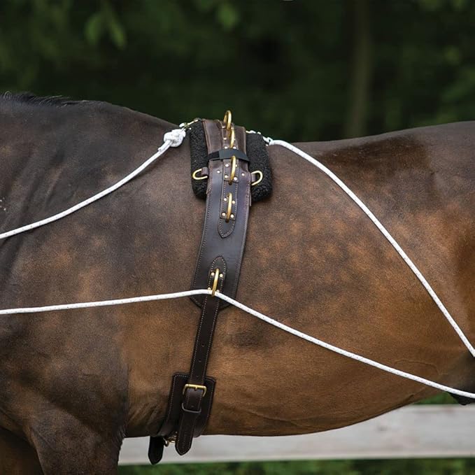 Advanced European Training System | Advanced Training Tool | Enhances Horse Carriage and Headset | Encourages Forward Movement | Strengthens Key Muscles | Not for Beginners-PurrikoPets
