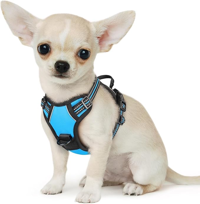 Eagloo Small Dog Harness No Pull, Service Vest with Reflective Strips and Control Handle, Adjustable and Comfortable for Walking, No Choke Pet Harness with 2 Metal Rings, Sky Blue, XS-PurrikoPets