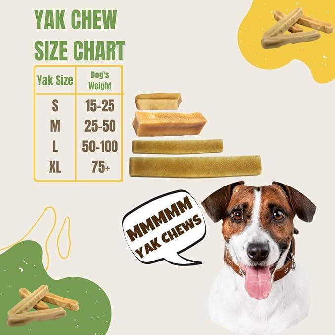 EcoKind Premium Gold Yak Cheese Himalayan Dog Chews, Dog Treats Large Breed, All Natural, High Protein, for Aggressive Chewers, Large - 2 Chews-PurrikoPets
